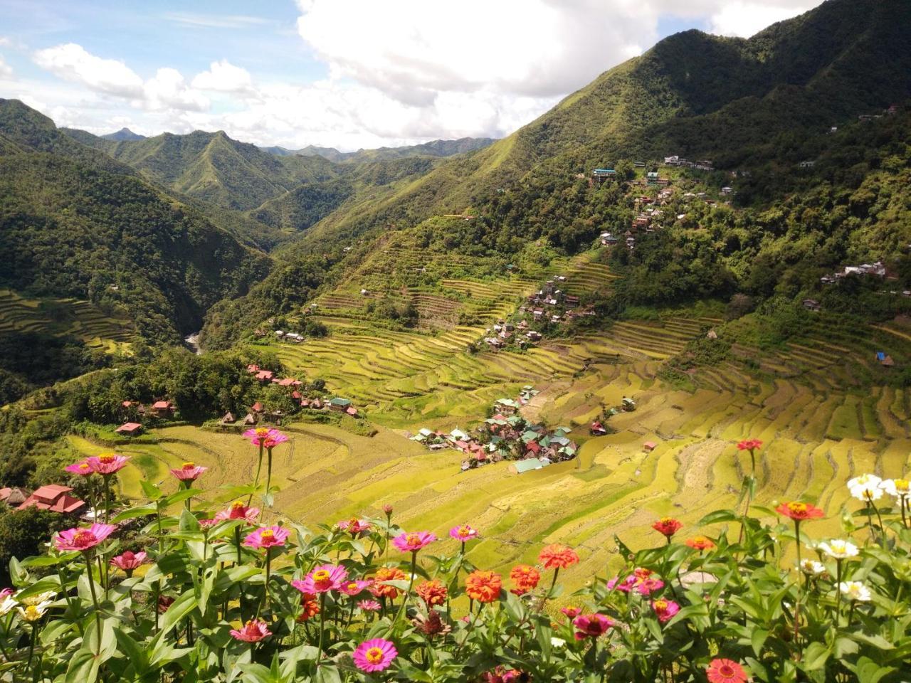 Batad View Inn And Restaurant バナウェ エクステリア 写真